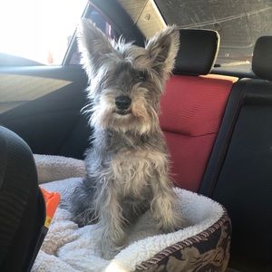 Meet your Posher, Anastacia